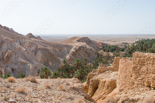 Aerial view of Chebika canyon and oasis. Tunisia
