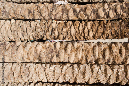 Date palm trunks used for construction. Tunisia