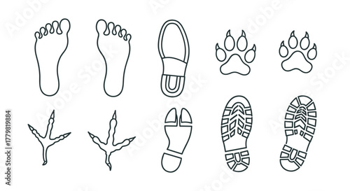 Collection of thin line footprint icons, including human feet, animal paw prints, bird tracks, and various shoe soles, presented as outline signs for graphic and web design, apps, adverts, and