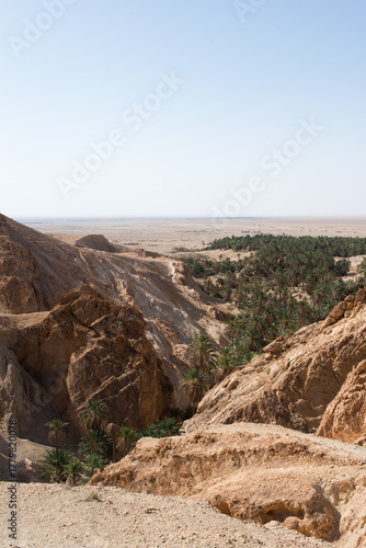 Aerial view of Chebika canyon and oasis. Tunisia