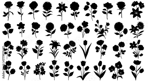 Collection of flower silhouettes in multiple shapes and arrangements, isolated on transparent background