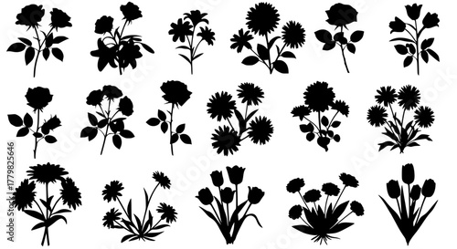 Collection of flower silhouettes in multiple shapes and arrangements, isolated on transparent background