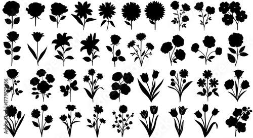 Collection of flower silhouettes in multiple shapes and arrangements, isolated on transparent background
