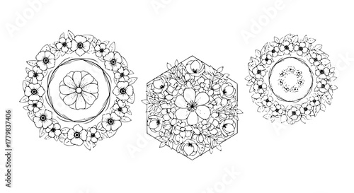 Line art flower set with circular, hexagonal, and spiral arrangements, elegant black outlines