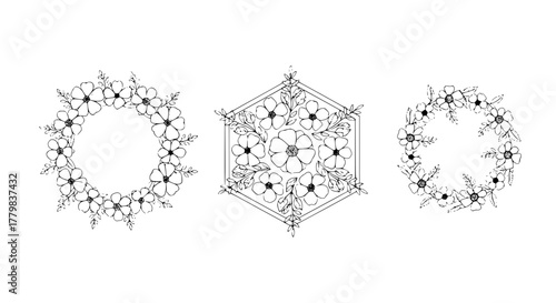 Line art flower set with circular, hexagonal, and spiral arrangements, elegant black outlines