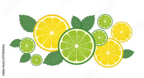 Fresh Citrus Slices of Lemon and Lime with Mint Leaves Isolated on White Background