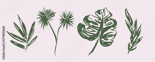 Tropic set of grunge textured vector green ink hand dawn tropical leaves, fern, monstera leaf. Sketch paintbrush botanical elements for textile pattern design, greeting card, logo