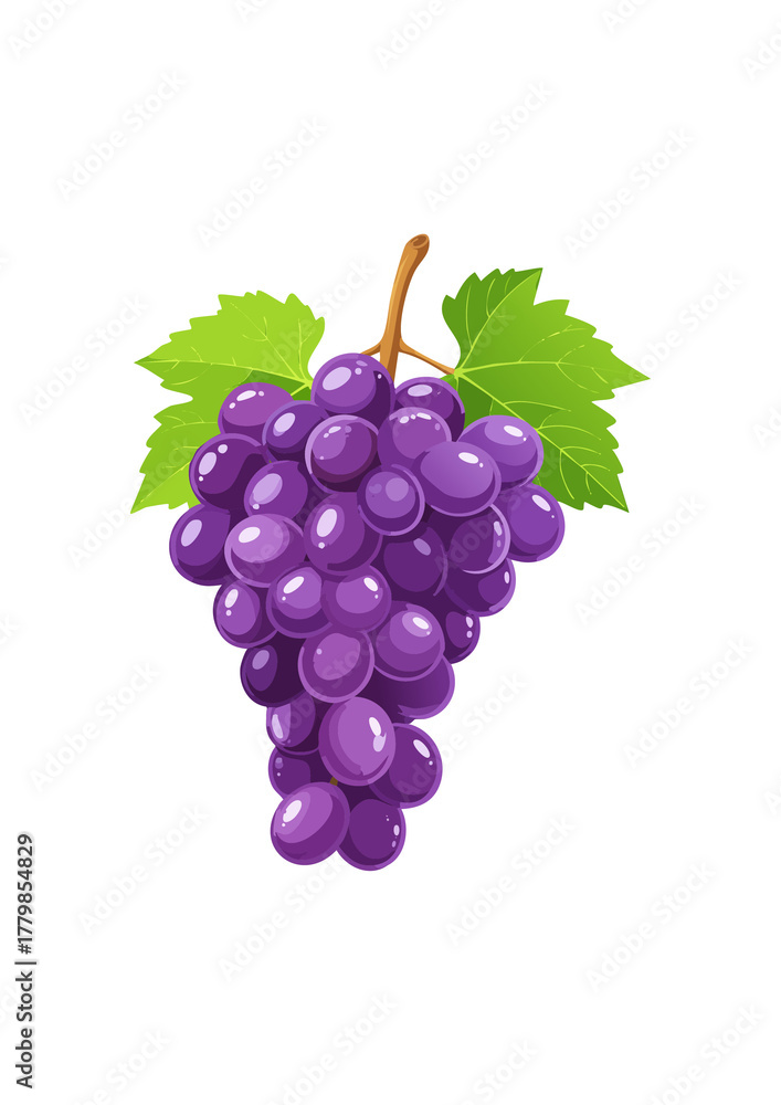 Fototapeta premium bunch of grapes isolated on white