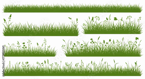 Set of green grass and wildflower silhouettes, a detailed nature border and meadow landscape vector illustration
