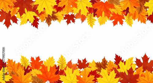 Autumn fall leaves border background with colorful maple foliage, a beautiful seasonal vector illustration