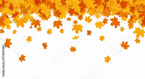 A cascade of falling orange and yellow autumn maple leaves against a clean white background vector illustration