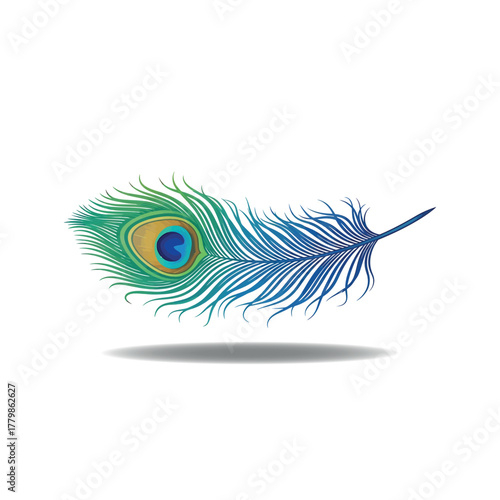 Exquisite Peacock Feather with Vibrant Eye-Spot Detail and Natural Colors