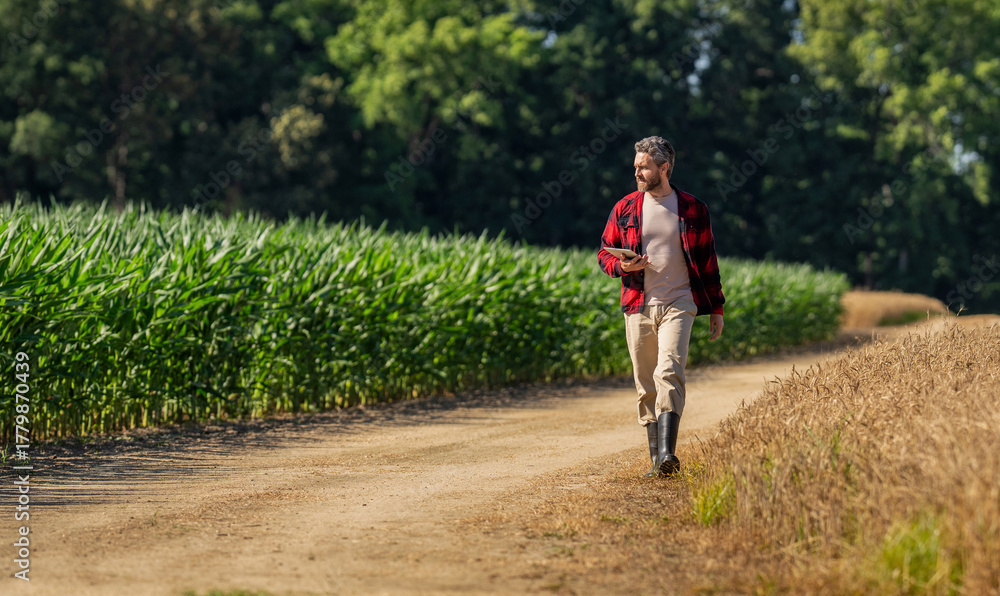Fototapeta premium Farmer man working on field with tablet. Hispanic farmer with tablet check harvest. Crop harvest. Farmer agronomist man with tablet in field. Technology of modern agriculture. Copy space banner