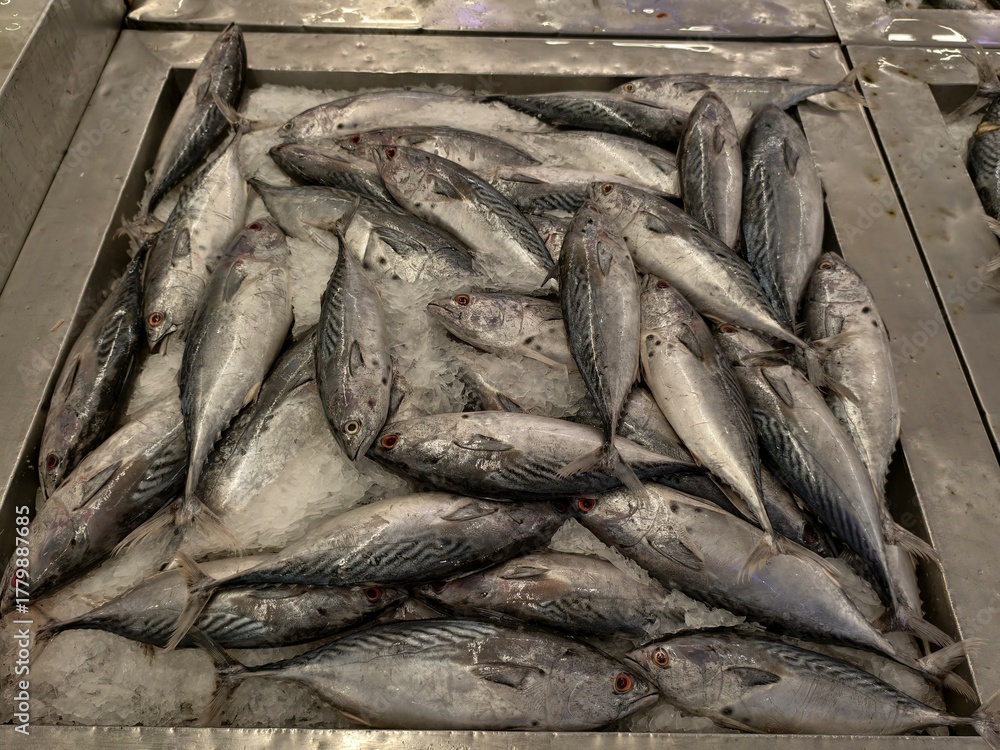Obraz premium Fresh Mackerel Fish on Ice Display at Asian Wet Market