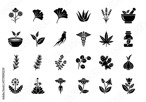 A collection of herbal medicine and natural remedy glyph icons for holistic wellness and botany 2j (347)