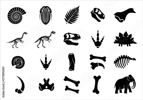 A diverse collection of black silhouette icons representing paleontology, including various dinosaur skeletons, fossils, and prehistoric animal bones for graphic design