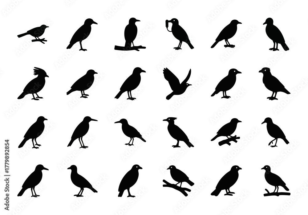 Naklejka premium A diverse set of black crow and raven bird silhouettes. Vector illustration collection showing the corvids in various poses like flying and perching