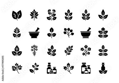 Vector set of medicinal plant icons. Glyphs for herbalism, homeopathy, and aromatherapy on a white background