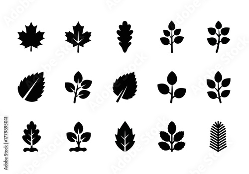 A diverse set of fifteen black leaf icons for graphic design. Vector collection of various plant and foliage symbols isolated on a white background