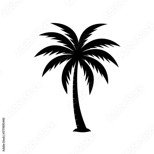 silhouette of a palm tree