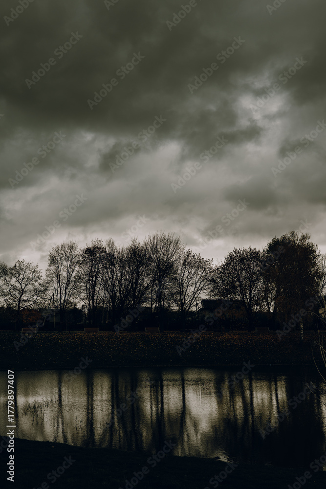 Fototapeta premium Dramatic dark autumn landscape with bare trees and cloudy sky reflecting in calm lake water. Moody nature background for fall season, overcast weather