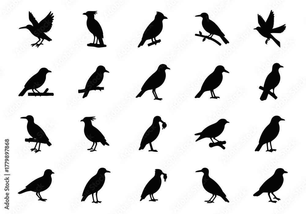 Naklejka premium Collection of black bird silhouettes. A vector icon set of crows, ravens, and rooks in various poses like flying and perching