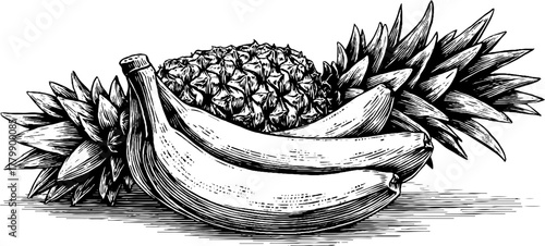 Tropical fruit set with banana, pineapple, and papaya in vintage style