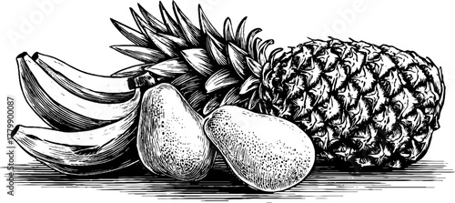 Vintage tropical fruit set featuring banana, pineapple, and papaya for retro design