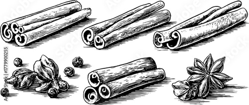 Spice collection with cinnamon sticks, black peppercorns, and clove buds hand drawn for vintage design