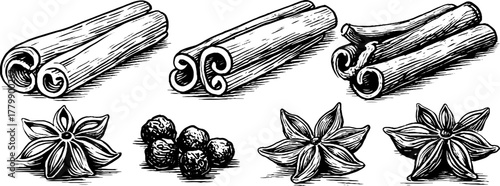 Spice collection featuring cinnamon sticks, black peppercorns, and clove buds in vintage hand-drawn style