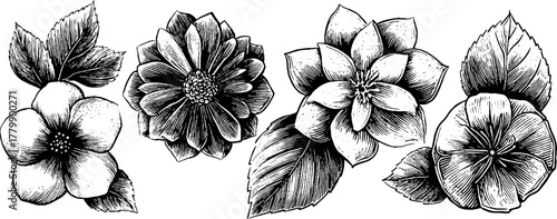 Circular floral medallion rosette botanical design for decorative use