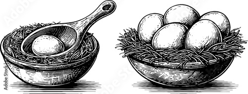 Vintage engraving of hen nest with eggs and feed scoop - retro design for farm decor