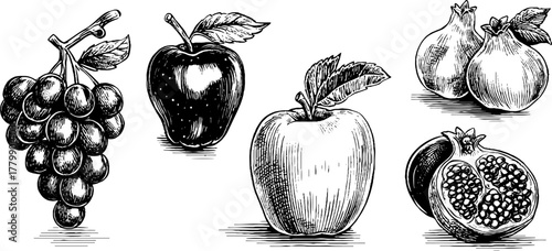 Vintage engraving style set of apples grapes and pomegranates for design and decoration