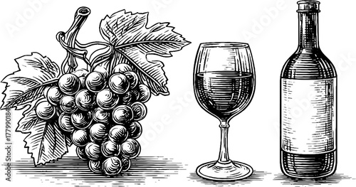 Vintage wine set with grape cluster, glass, and bottle engraving for design