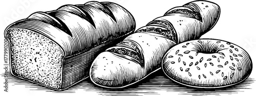 Vintage engraving of bread selection featuring loaf, baguette, and round bread — perfect for culinary designs