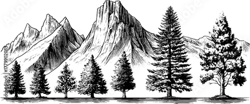 Vintage mountain peaks and pine trees engraving illustration for nature-themed designs