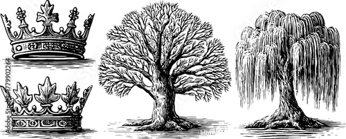 Vintage engraving style tree crowns set featuring pine oak willow