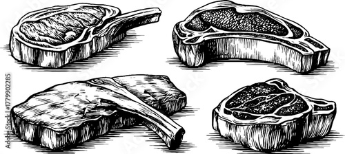 Vintage engraving style set of raw steak cuts including ribs and tenderloin for culinary art and design