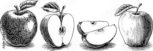 Vintage engraving of red and green apples with slices for retro design