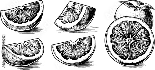 Vintage engraving style set of sliced orange and pomegranate for retro designs