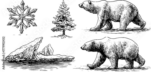 Vintage engraving style set featuring snowflake, iceberg, and polar bears in retro design