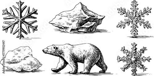Vintage engraving of snowflakes, icebergs, and polar bear - winter design elements