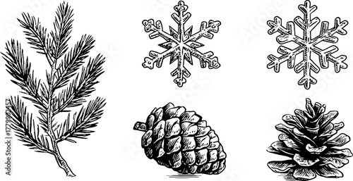 Vintage engraving style snowflakes and pine elements for winter designs