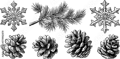 Vintage engraving style set of snowflakes pine branch and cones for holiday design