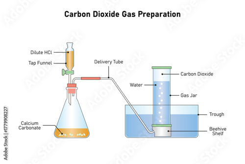 Carbon Dioxide Gas preparation Experiment Science Design. Vector Illustration.