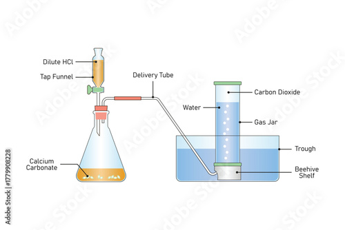 Carbon Dioxide Gas preparation Experiment Science Design. Vector Illustration.