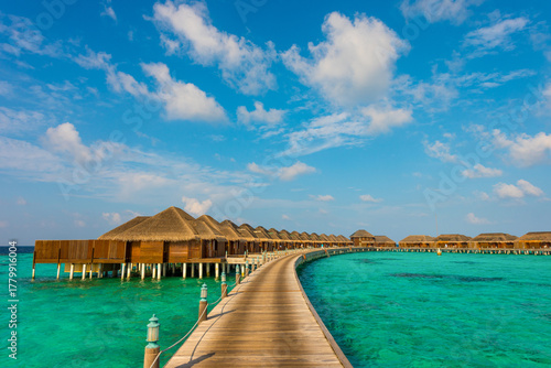 Fototapeta Naklejka Na Ścianę i Meble -  Tropical island beach landscape exotic shore coast. Tranquil closeup calm sea water waves with palm trees. Beautiful Panorama. Summer vacation, holiday amazing nature. Relax paradise, Maldives.