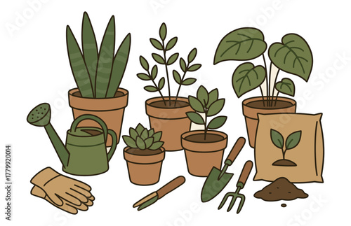 Potted plants and gardening tools illustration with succulents and foliage