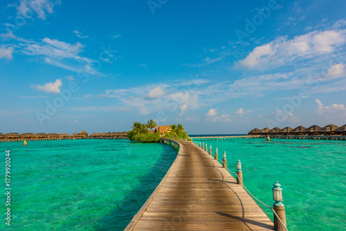 Fototapeta Naklejka Na Ścianę i Meble -  Tropical island beach landscape exotic shore coast. Tranquil closeup calm sea water waves with palm trees. Beautiful Panorama. Summer vacation, holiday amazing nature. Relax paradise, Maldives.