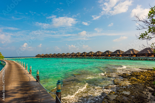 Fototapeta Naklejka Na Ścianę i Meble -  Tropical island beach landscape exotic shore coast. Tranquil closeup calm sea water waves with palm trees. Beautiful Panorama. Summer vacation, holiday amazing nature. Relax paradise, Maldives.
